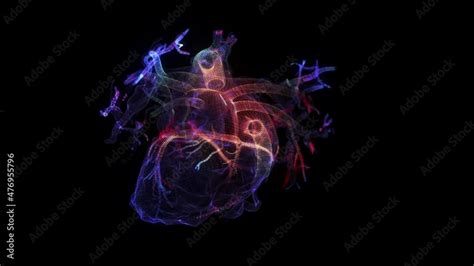 Image result for Full Animation On Heart Function