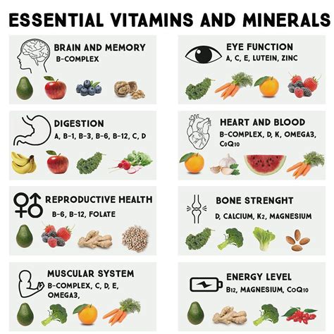 7 Essential Vitamins In The Body And What They Do