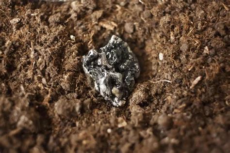 China's rare earth exports grind to a halt as trade war controls bite