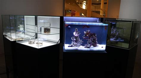 BioMess 的图像结果