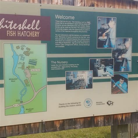 WHITESHELL FISH HATCHERY INTERPRETIVE CENTRE - All You Need to Know ...