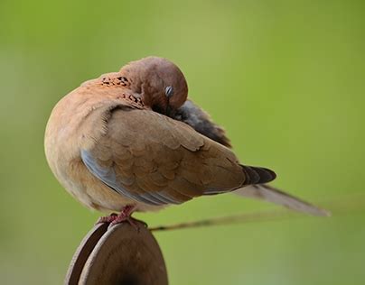 Interior Building Graphics 的图像结果