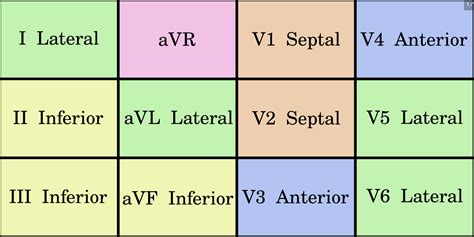 The 12-Lead Electrocardiogram: Anatomical Grouping and Diagnostic Significance - Anatomy Note - lateral leads of ecg