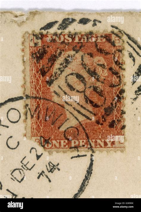 Red Example Stamp 的图像结果