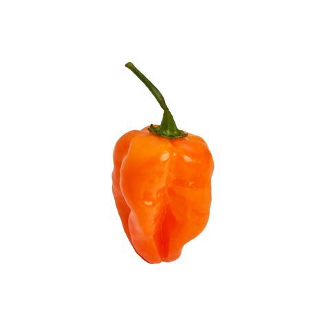 habanero priceDownload it from habanero price for free4.73