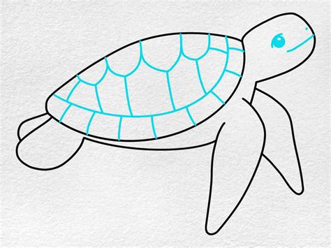 How To Draw A Cool Turtle at Keith Flores blog