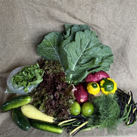 Farm Fresh Organics 的图像结果