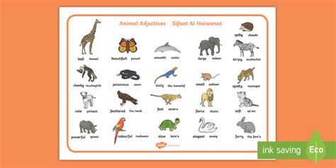 Animal Adjectives Arabic-Phonics Word Mat