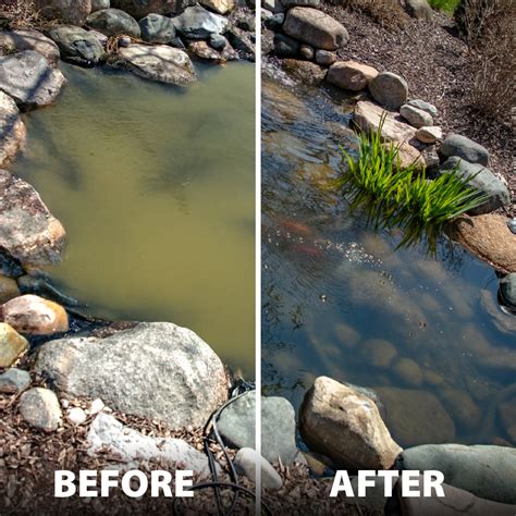 Image result for Python Pond Vacuum