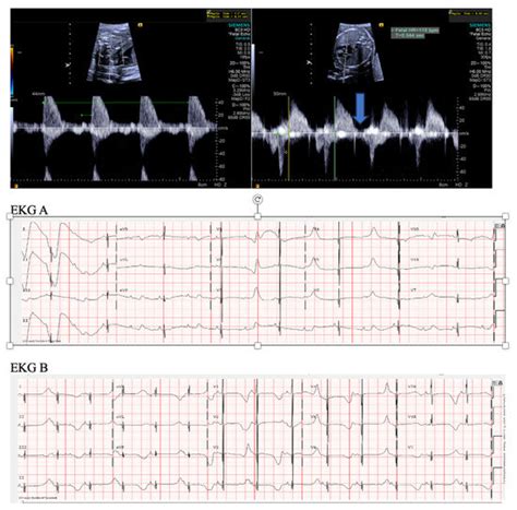 JCDD | June 2024 - Browse Articles