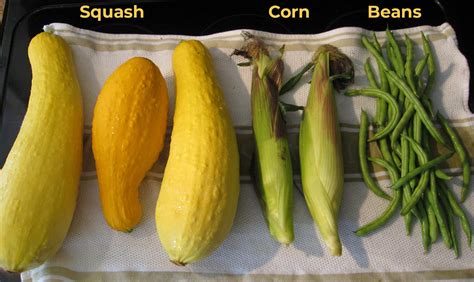 News-O-Matic | Indigenous Farming: The Three Sisters