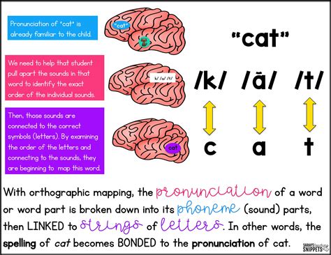 How Do We Learn New Words? Orthographic Mapping - Sarah's Teaching Snippets