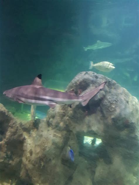 HORIZONS (Newquay, Cornwall) - Lodging Reviews, Photos, Rate Comparison ...