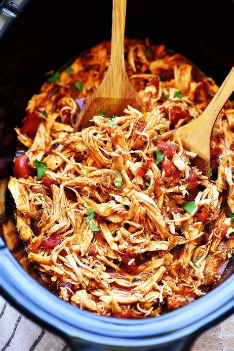 Cool Slow Cooker Shredded Chicken References - Recipe Gallery