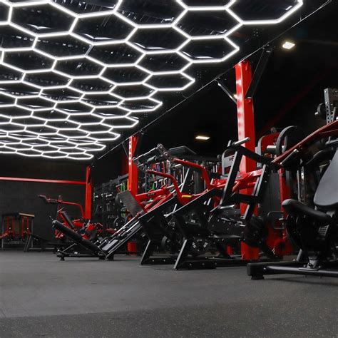 Gym Equipment 的图像结果