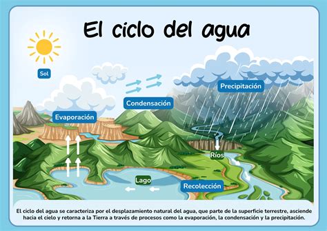 Ciclo Del Agua De Percolación