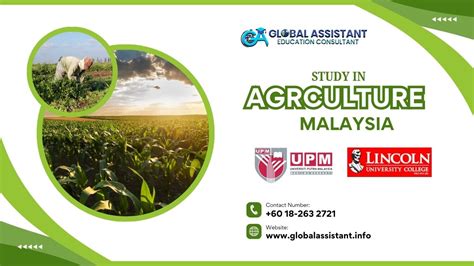 Malaysia Agriculture 的图像结果