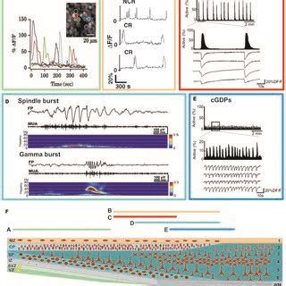 Image result for 4th Sem Cortex-M0 Overview Unit 1