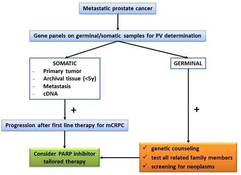 How the Analysis of the Pathogenetic Variants of DDR Genes Will Change ...