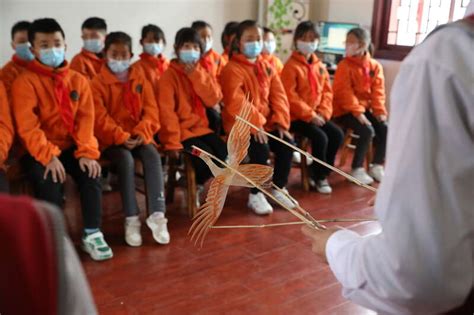 朱鹮“飞”进小学校园