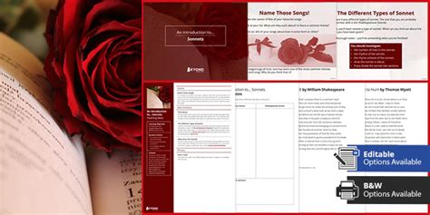 What is a Sonnet? - Answered - Twinkl Teaching Wiki - Twinkl