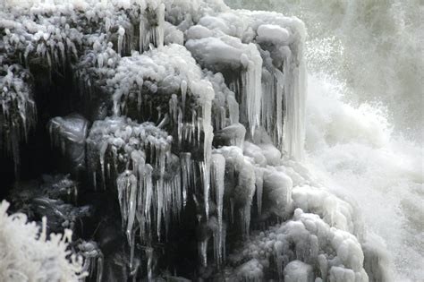 Image result for Trees Explode Cold