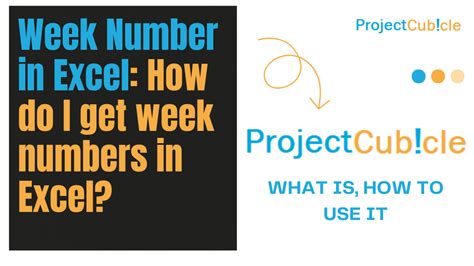 Excel Week Number 的图像结果