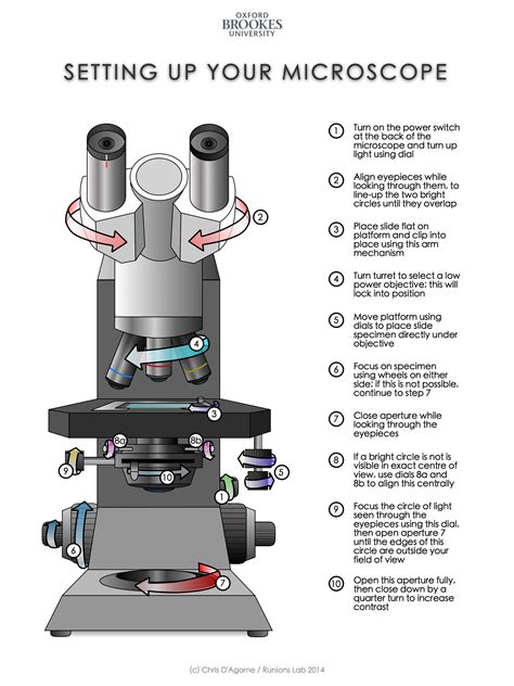 Image result for How To Use A Microscope For Elementary Students