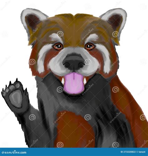 Hand drawn, cute red panda stock photo. Illustration of drawn - 273220822