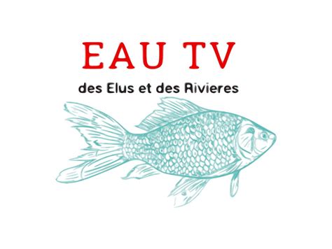 Webinaire EAU TV « Le petit cycle de l’eau, histoire et enjeux de la gestion de l’eau potable et ...