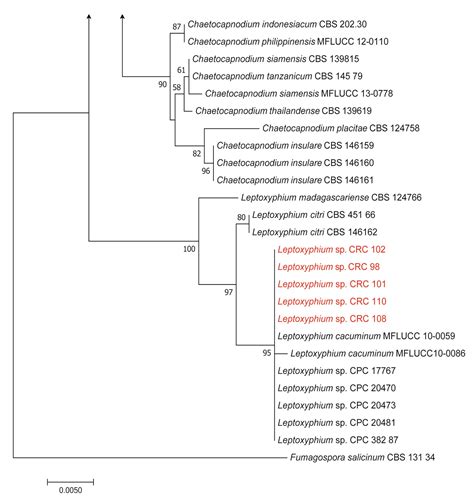 Production of Non-Volatile Metabolites from Sooty Molds and Their Bio ...