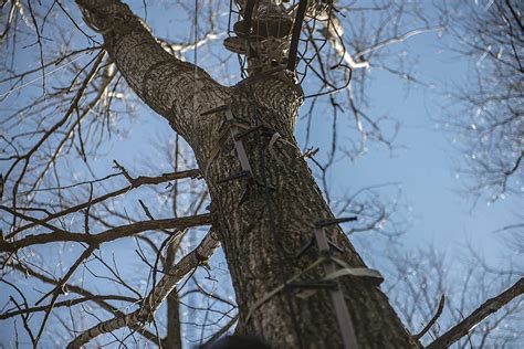 Review Climbing Sticks for Hunting 的图像结果