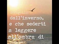 gabbiano jonathan livingston frasi il gabbiano jonathan livingston richard bach gabbiano jonathan livingston frasi il gabbiano jonathan livingston richard bach
