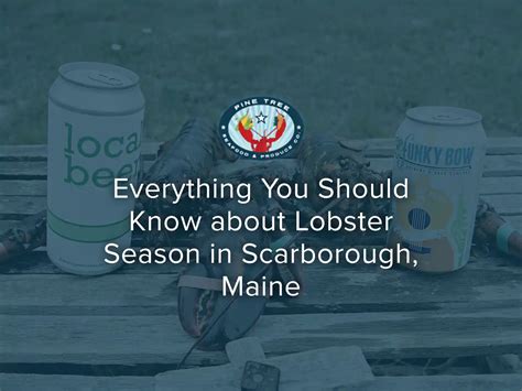 Everything You Should Know about Lobster Season in Scarborough, Maine ...