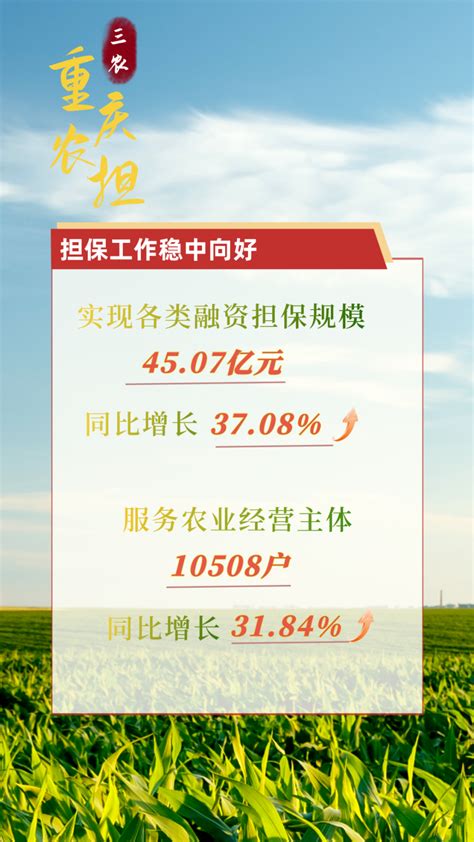 金融助农！重庆农担上半年融资担保45亿元 - 重庆日报