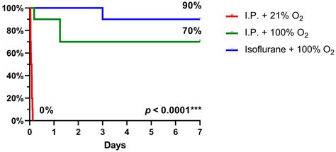 Protective Effect of Oxygen and Isoflurane in Rodent Model of ...