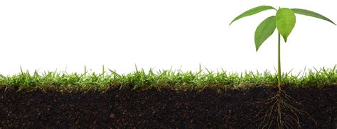 Image result for Soil Code