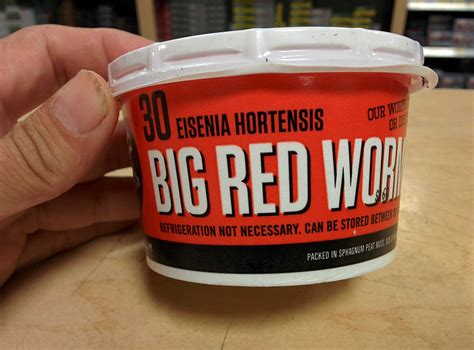 Basement Worm Farm 的图像结果