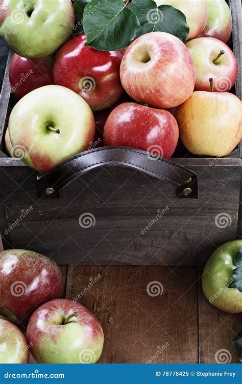 Bushel of Apples stock image. Image of harvesting, angle - 78778425