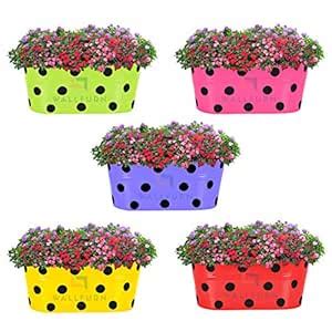 Wallfurn Railing Hanging Planters 12 Inch, Set of 5, Oval Shape, Metal ...