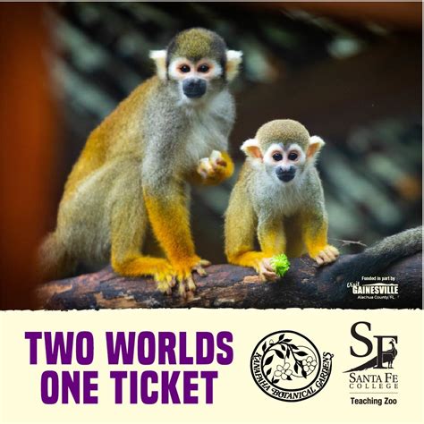 Experience Nature This Summer At Santa Fe College Teaching Zoo - Santa ...