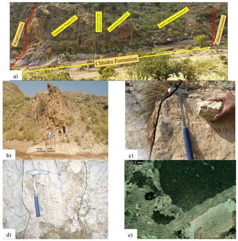 Depositional Sedimentary Facies, Stratigraphic Control, Paleoecological ...