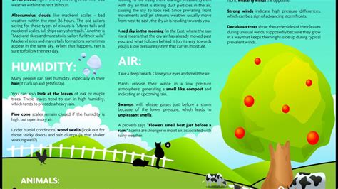 Image result for Understanding Weather Forecast