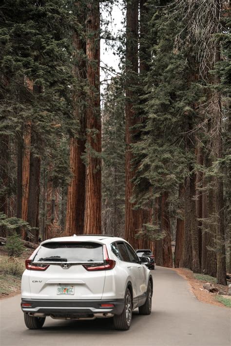 Image result for P0341 Code