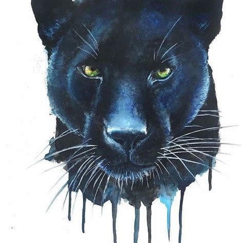 Twitter | Schwarzer panther zeichnung, Majestätische tiere, Katzen kunst