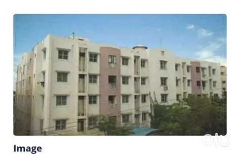 Rent of Flats - For Rent: Houses & Apartments - 1797184844