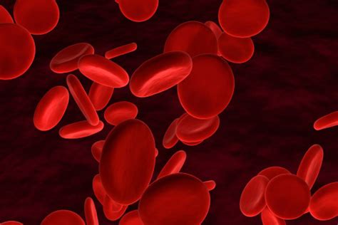 Image result for Blood Gang Handshake Tutorial