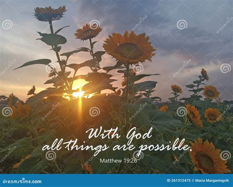 Bible Verses About Sunsets