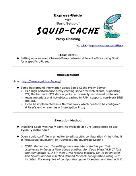 Image result for Squid Cache