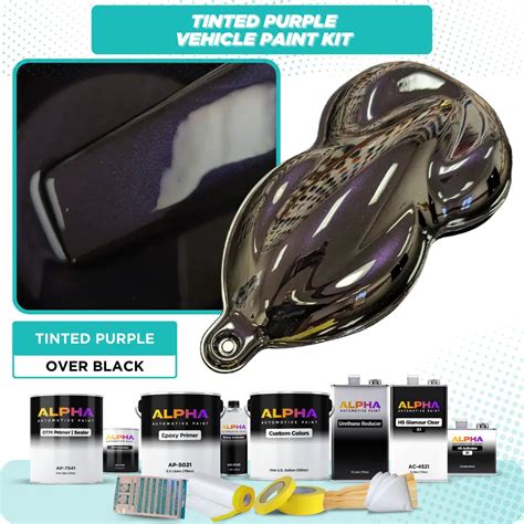 Tinted Purple Vehicle Paint Kit – The Spray Source